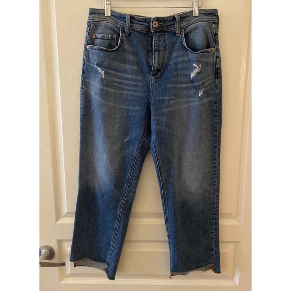 ANTHROPOLOGIE Pilcro & the Letterpress Distressed Boyfriend Jeans - 29
